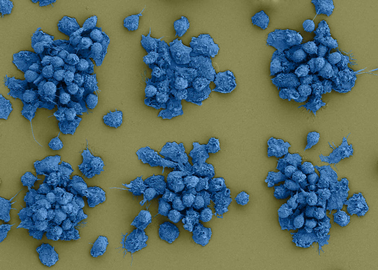 Syncronized swarming